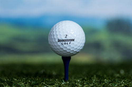 Bridgestone Mix Golf Lake Balls